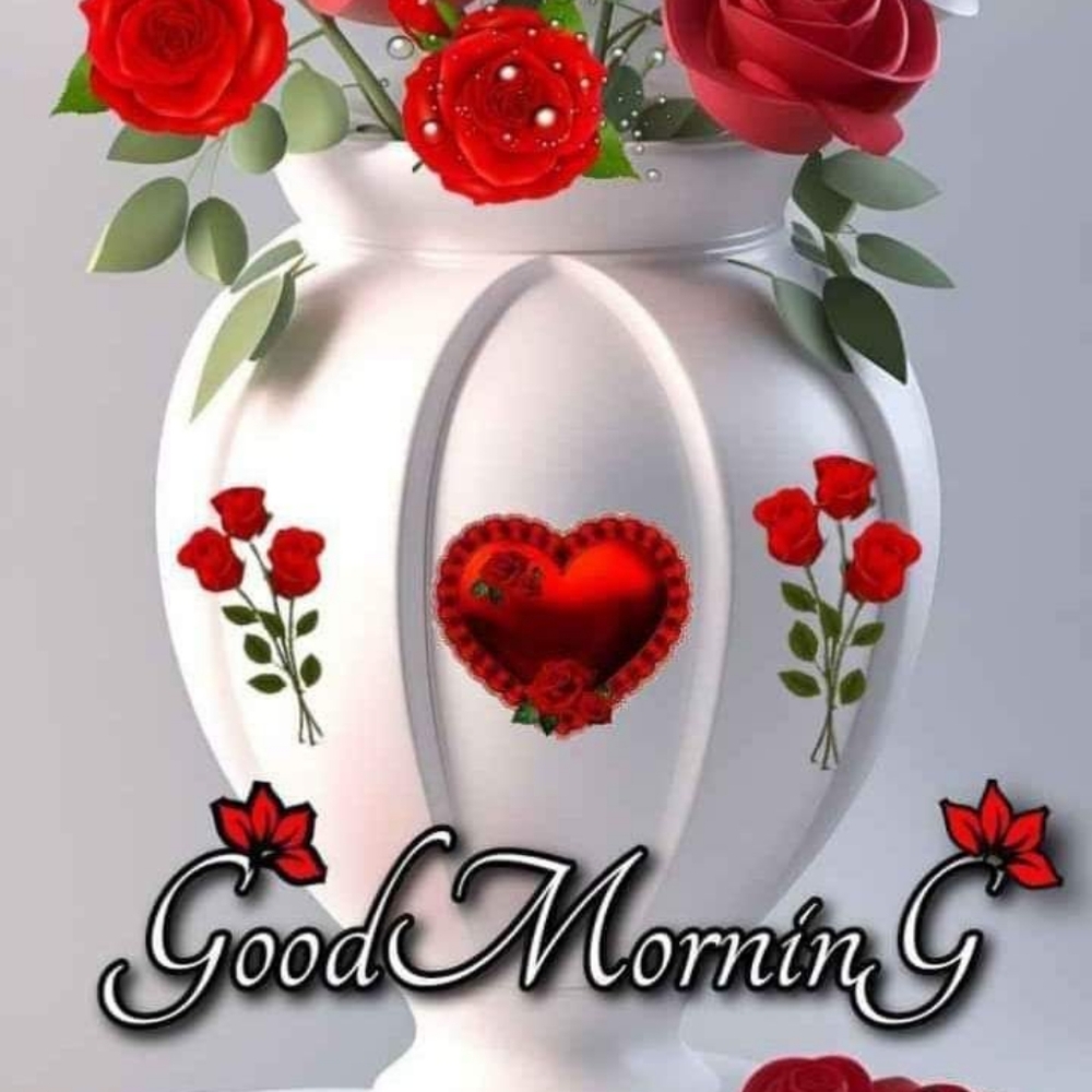 Gooooooood morning 🌄